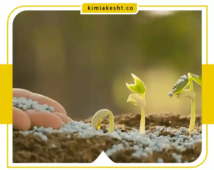 تأثیر کود شیمیایی بر محیط‌زیست؛ چطور هدررفت و آلودگی را کمتر کنیم؟