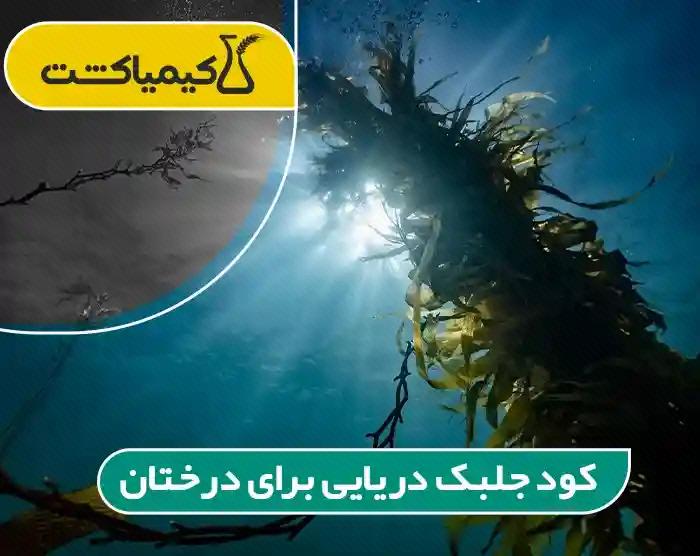 کود جلبک دریایی برای درختان؛ کاربرد و زمان مصرف