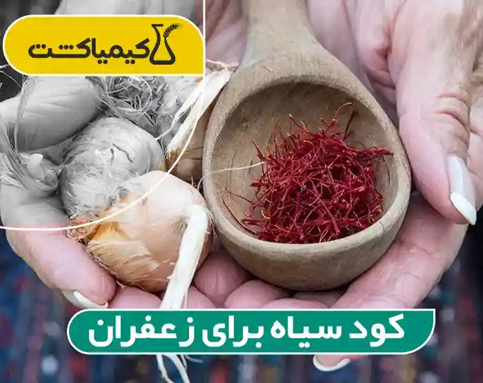 کود سیاه برای زعفران