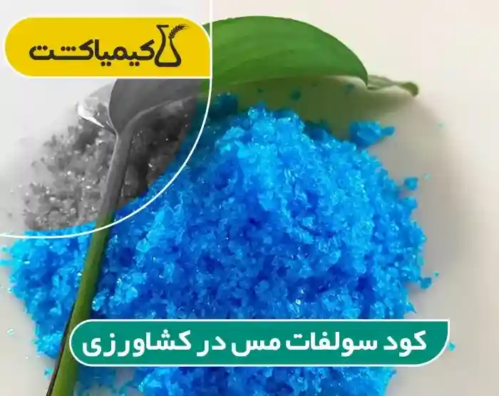 کود سولفات مس در کشاورزی