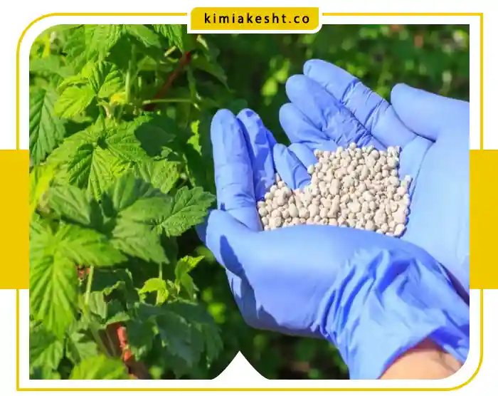 کود دی آمونیوم فسفات + مزایا و معایب آن