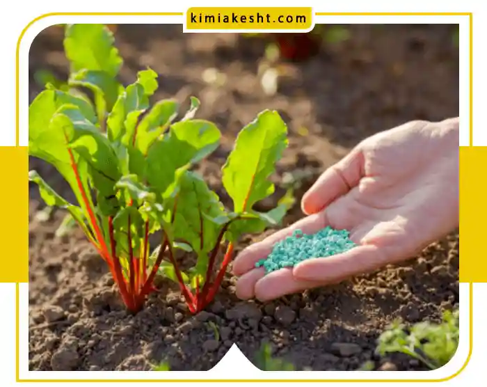 کود برای رشد سریع سبزیجات