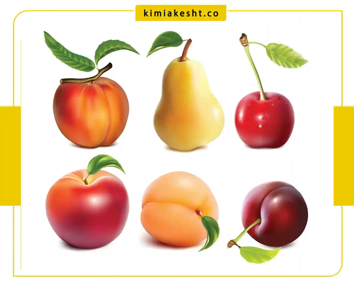 آزمایش خاک باغی