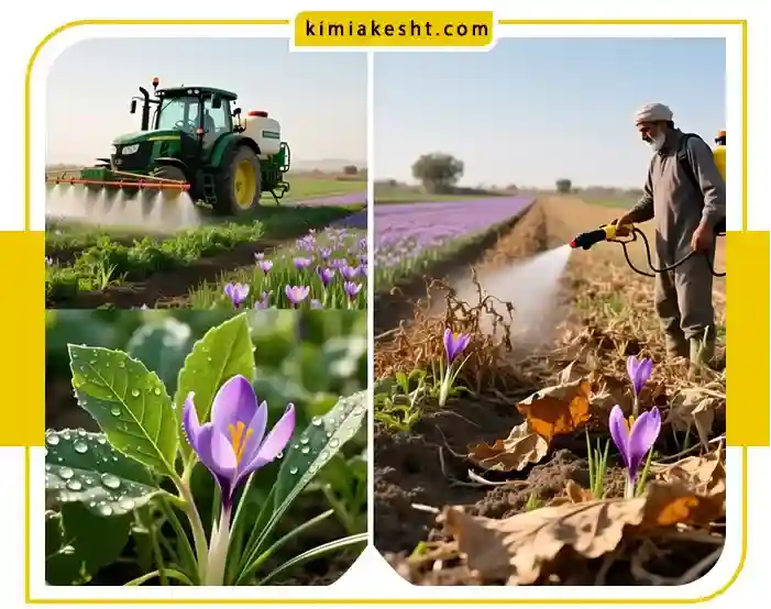 سم علف کش زعفران