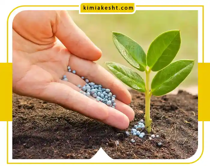 کمبود آهن در گیاهان و تاثیر آن در باغداری