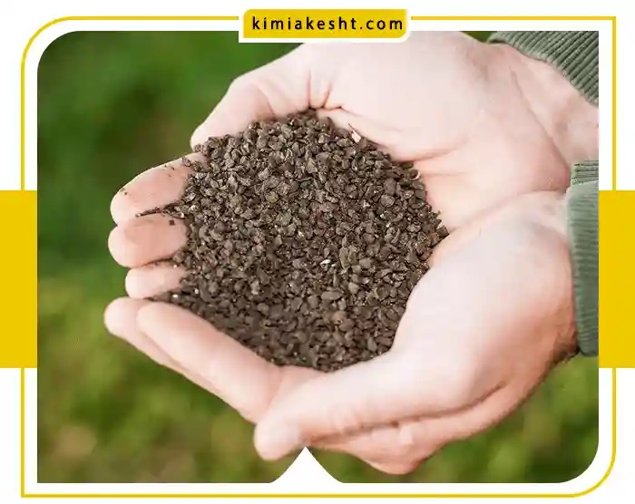 استفاده بهینه از کود آهن برای درختان میوه و باغی