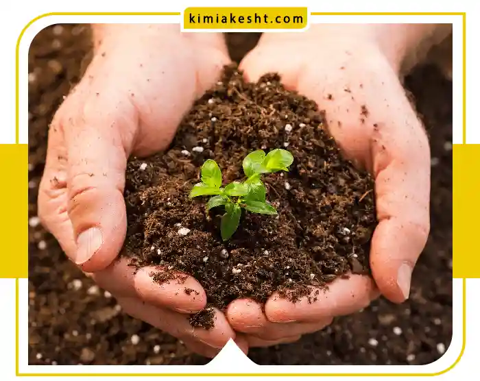 شناخت خاک های سدیمی یا سدیک