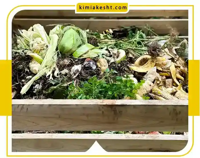 آموزش ساخت کود خانگی با مواد دور ریختنی