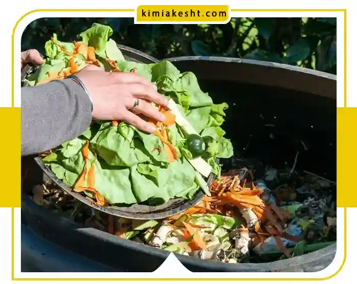 کود طبیعی و انواع آن + مزایا، معایب کود ارگانیک