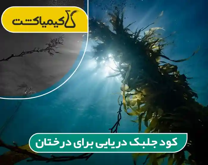 کود جلبک دریایی برای درختان