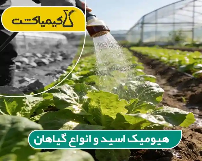 کود هیومیک اسید برای چه گیاهانی مناسب است؟