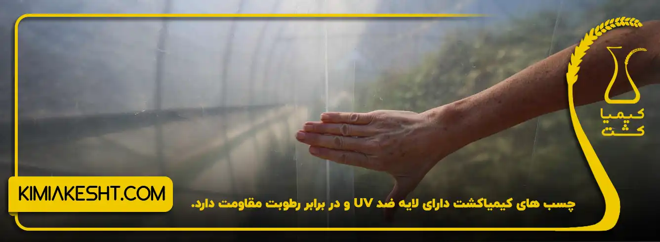 چسب کیمیا کشت دارای لایه ضد UV