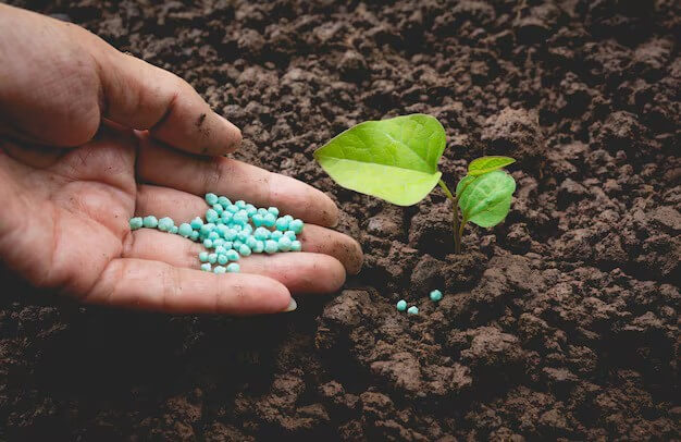 کود سولفات مس - سولفات مس برای چه درخت و گیاهانی مناسب است؟