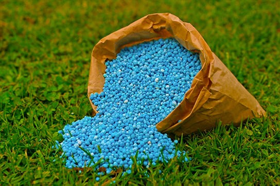 کود npk کود NPK - کاربردهای کود NPK برای گیاهان و درختان - نمای 2