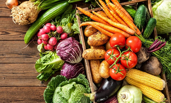 خرید بذر سبزیجات اصلاح شده بذر سبزیجات - خرید بذر سبزیجات اصلاح شده