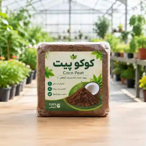 کوکوپیت