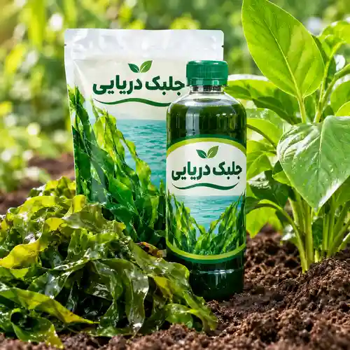 کود جلبک دریایی