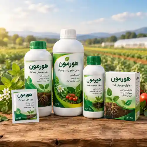 هورمون گیاهی