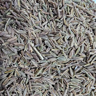 نمای نزدیک انبوه دانه‌های کشیده و شیاردار زیره سبز