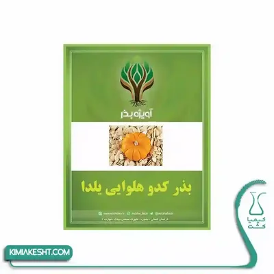 بسته سبز بذر کدو حلوایی یلدا با تصویر کدو نارنجی