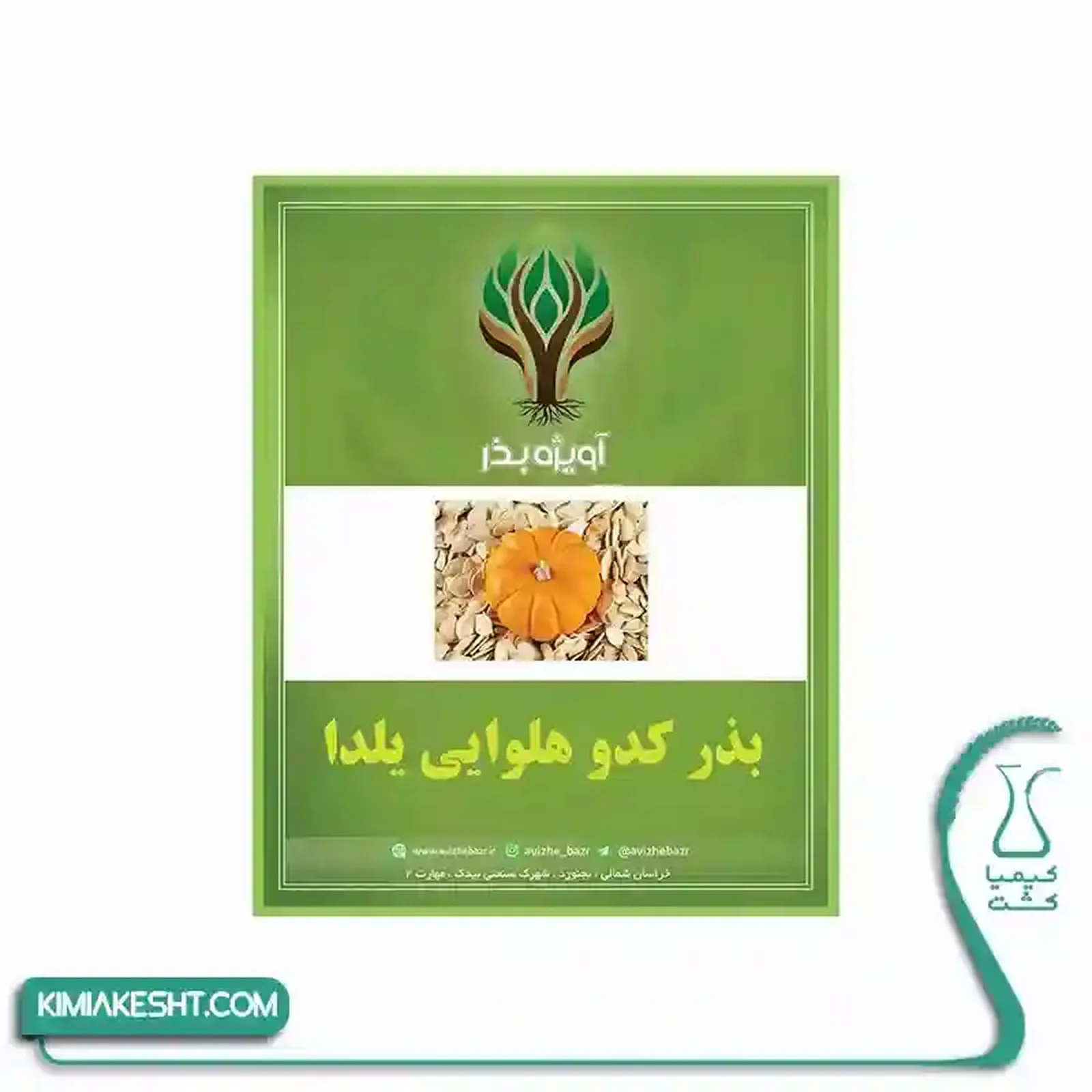 کدو حلوايي نارنجي يلدايي 3 گرمي - تصویر 1