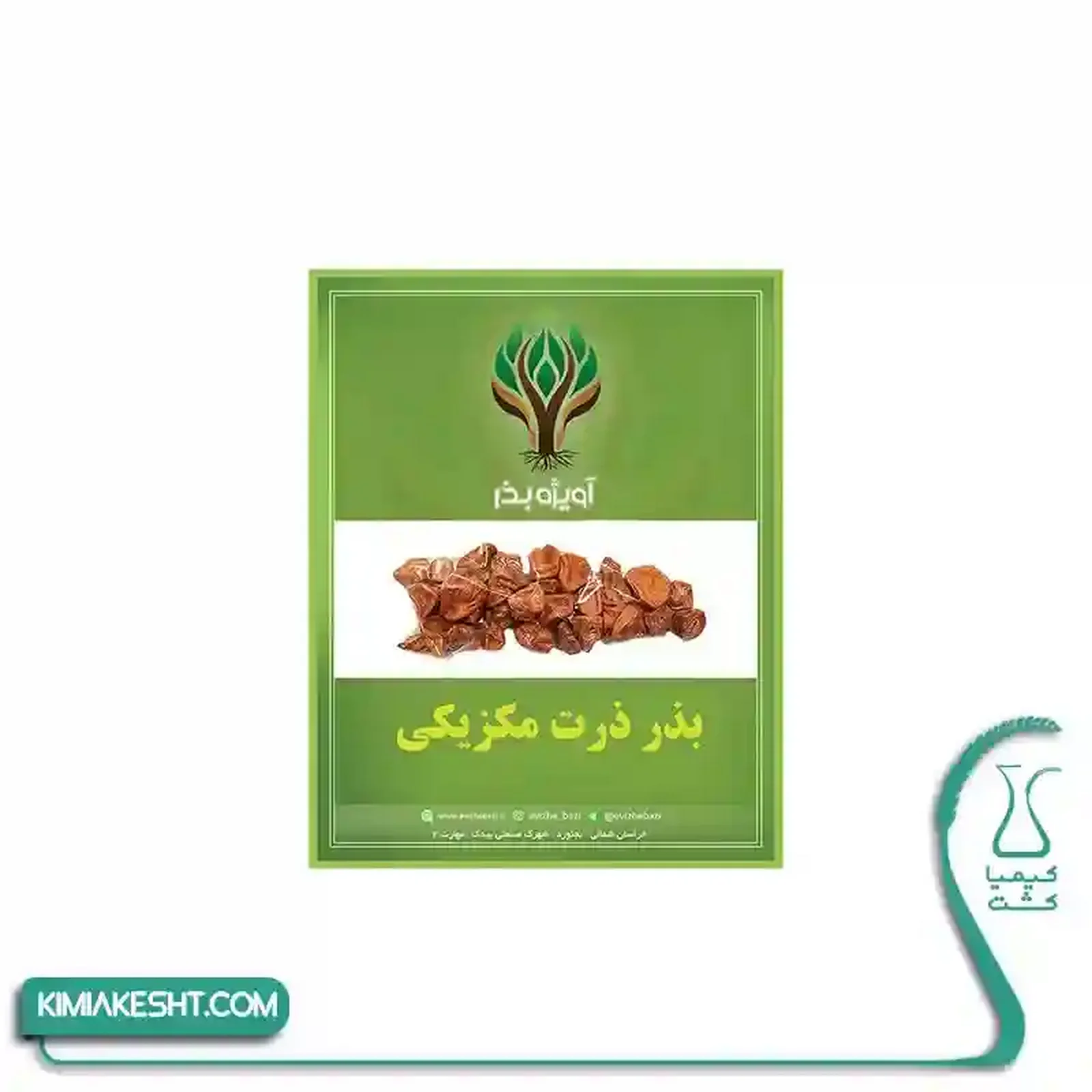 بذر ذرت ميکزيکي (ANGEL) سوپر رويال اسلايس 3 گرمي - تصویر 1