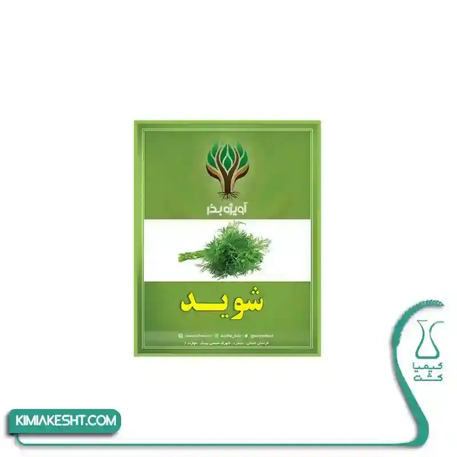 بذر سبزي شويد اصلاح شده 20 گرمي - تصویر 1