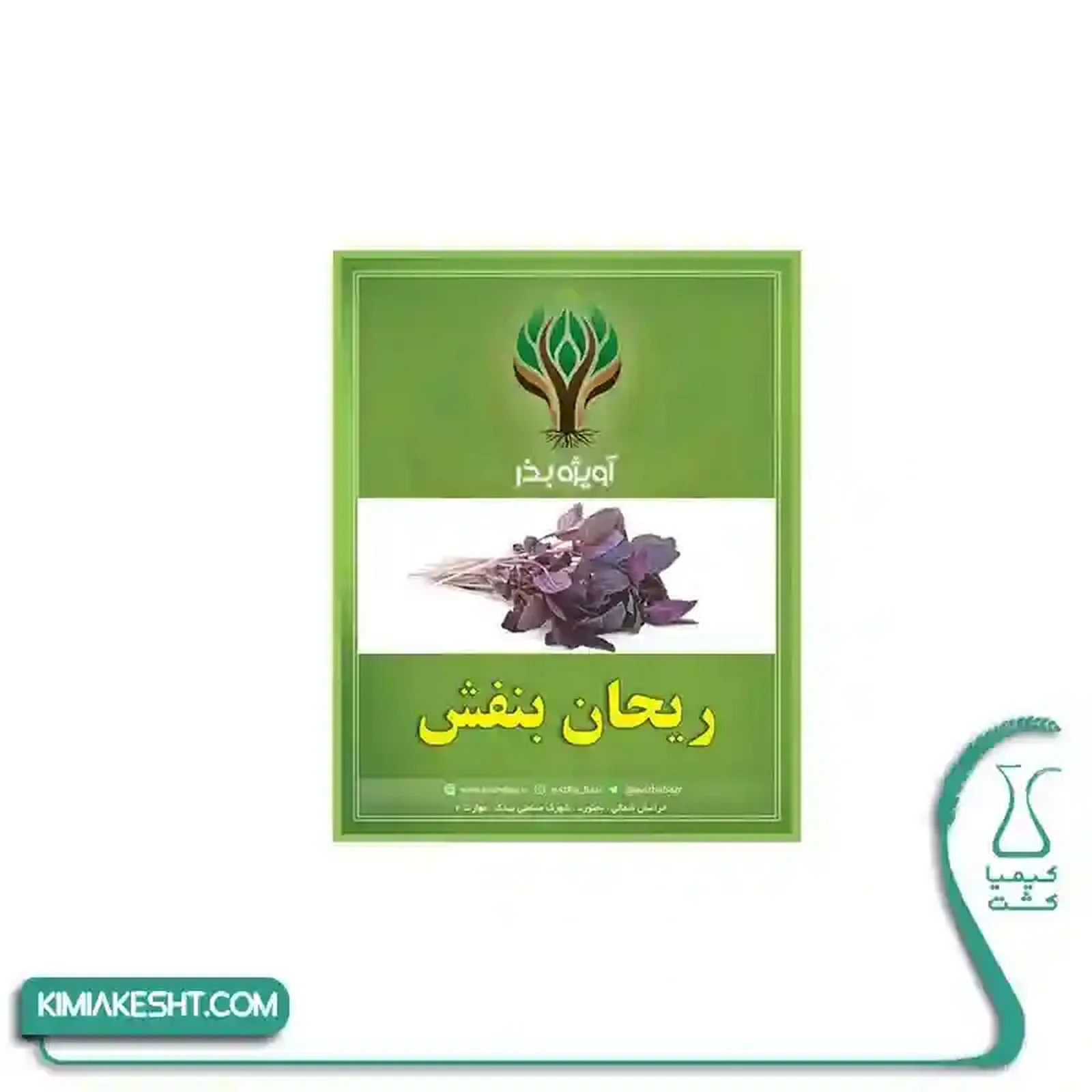 بذر سبزي ريحان بنفش اصلاح شده 20 گرمي - تصویر 1