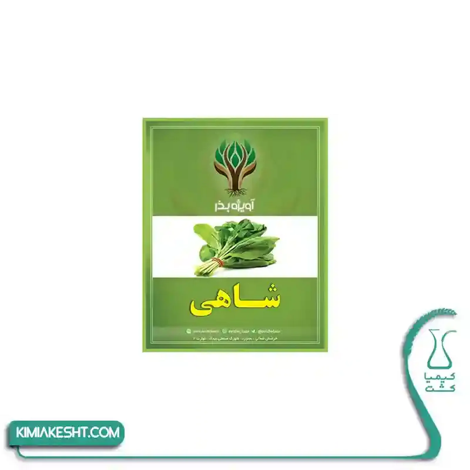 بذر سبزي شاهي اصلاح شده 20 گرمي - تصویر 1 بذر سبزي شاهي اصلاح شده 20 گرمي - تصویر 1