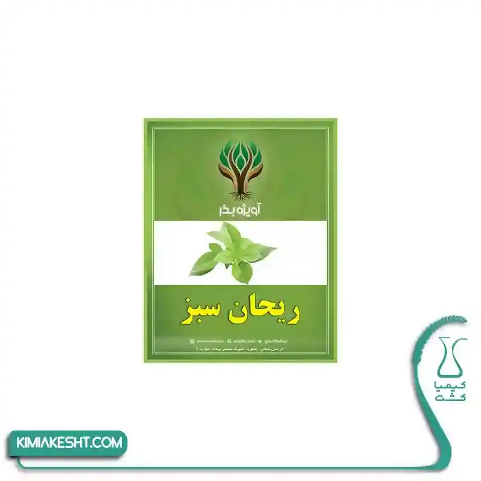 بذر سبزي ريحان سبز اصلاح شده 20 گرمي - تصویر 1