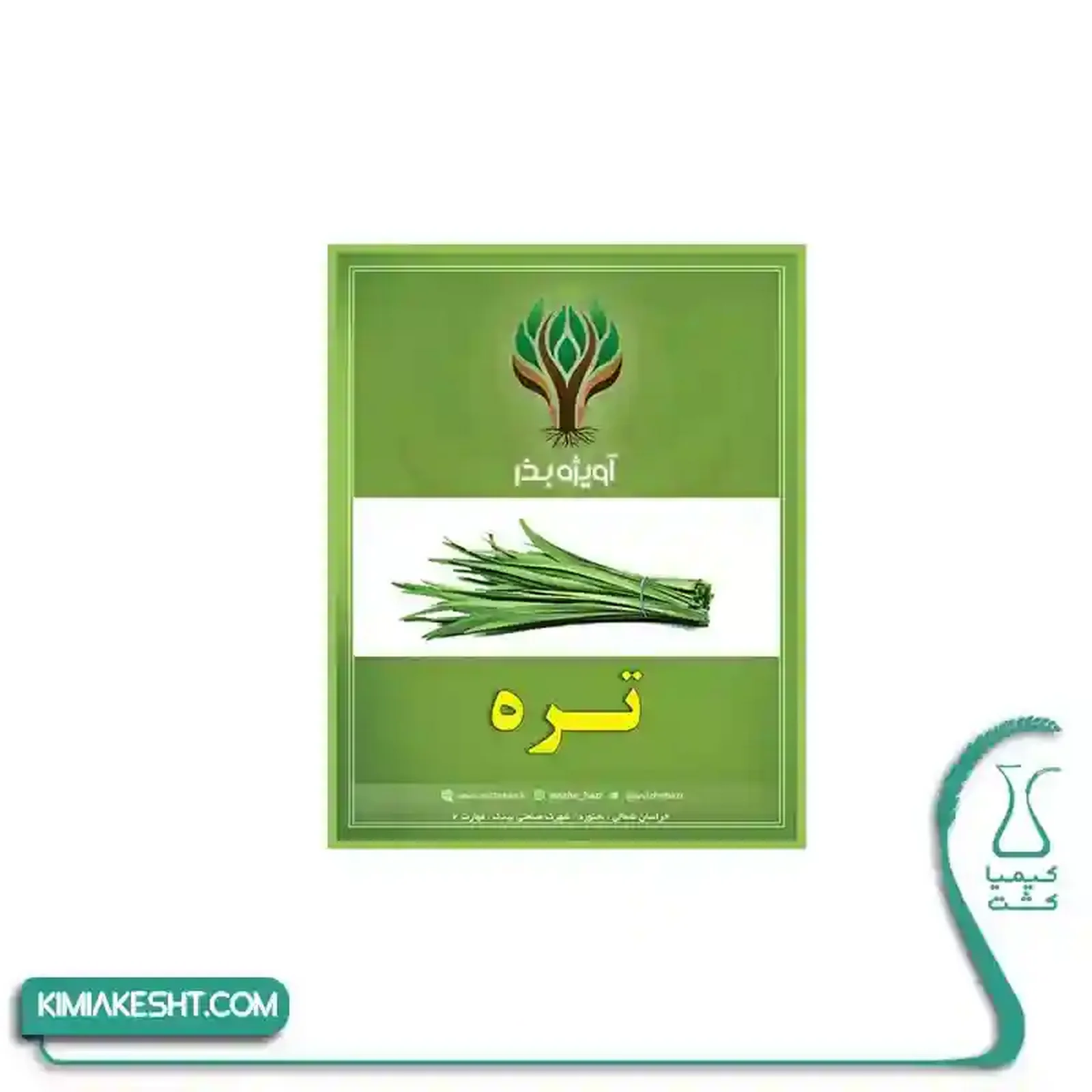 بذر سبزي تره اصلاح شده 20 گرمي - تصویر 1