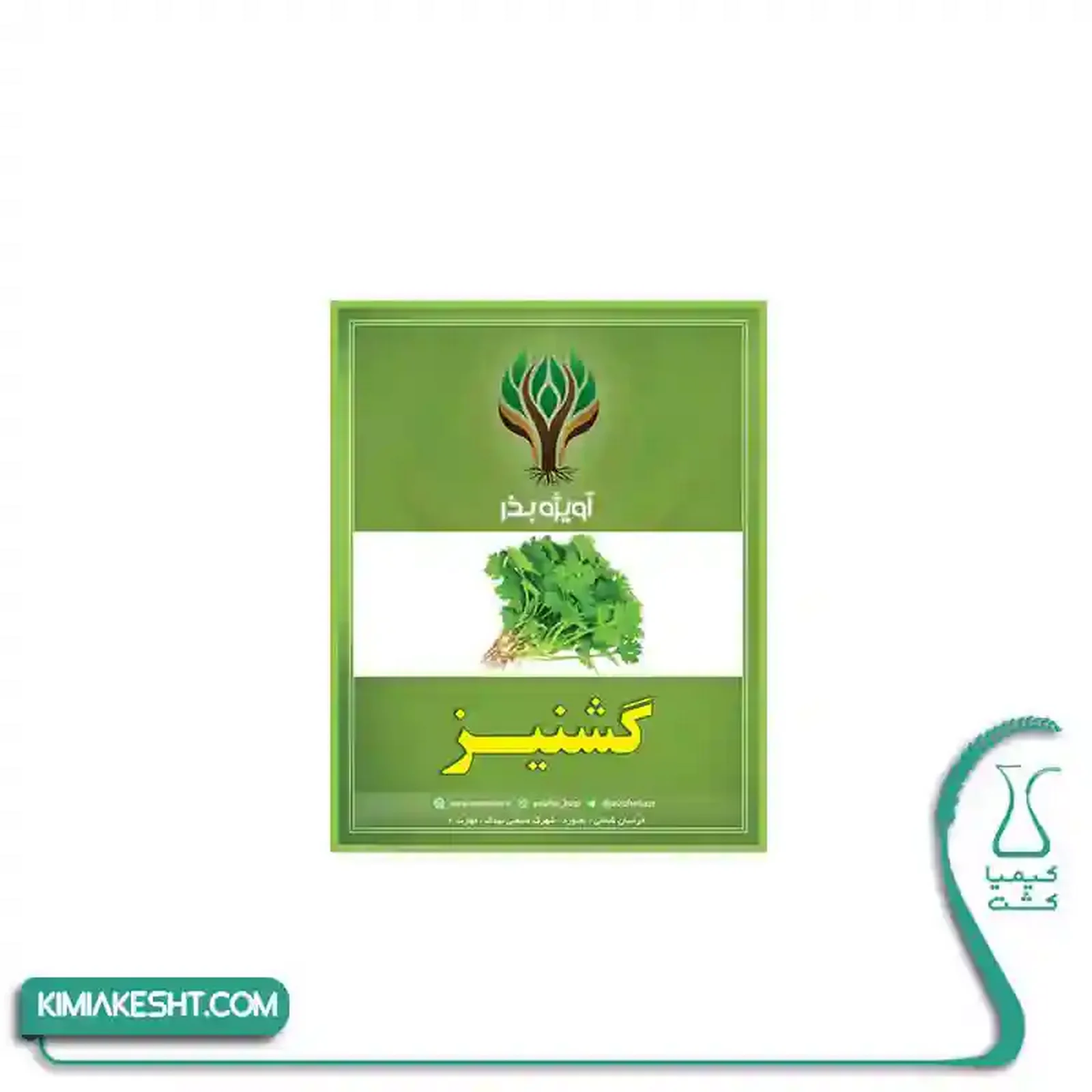 بذر سبزي گشنيز اصلاح شده 20 گرمي - تصویر 1 بذر سبزي گشنيز اصلاح شده 20 گرمي - تصویر 1