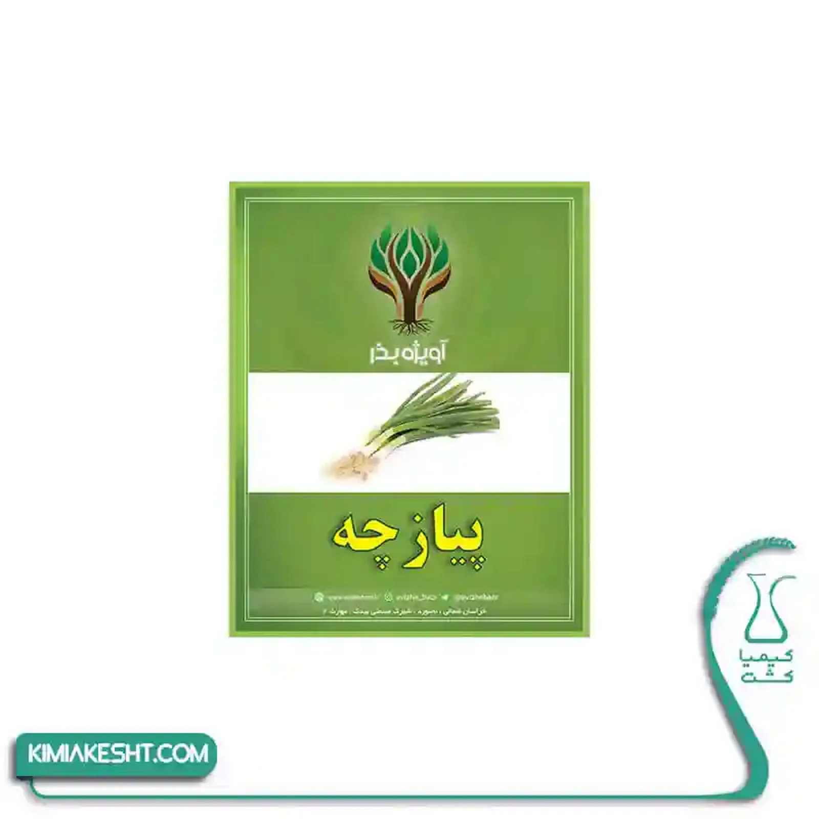 بذر سبزي پيازچه اصلاح شده 20 گرمي - تصویر 1