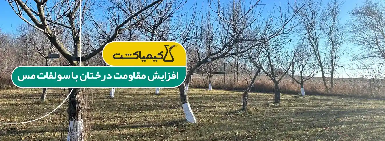 کود سولفات مس در کشاورزی - خرید کود سولفات مس