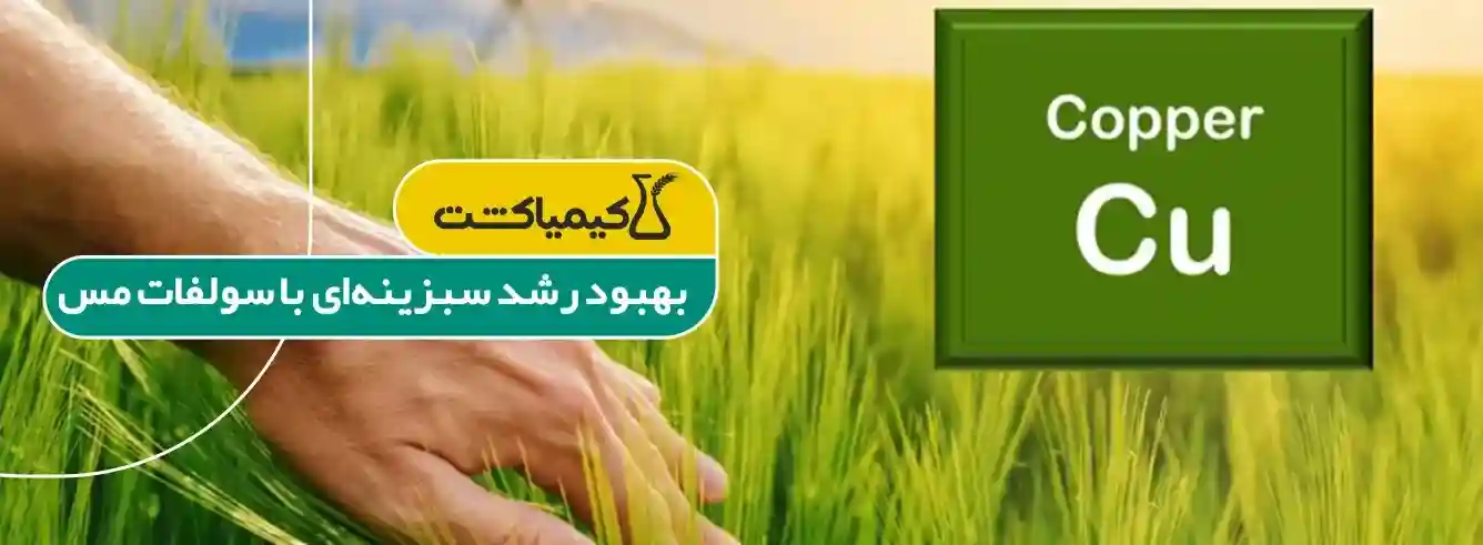 کود سولفات مس در کشاورزی - زمان مصرف کود سولفات مس