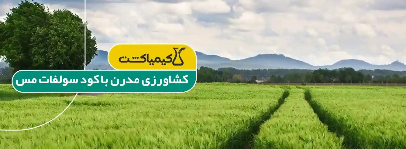 کود سولفات مس در کشاورزی - مزایای کود سولفات مس کشاورزی