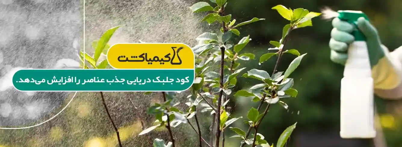 کود جلبک دریایی برای درختان - خرید بهترین کود جلبک دریایی برای درختان
