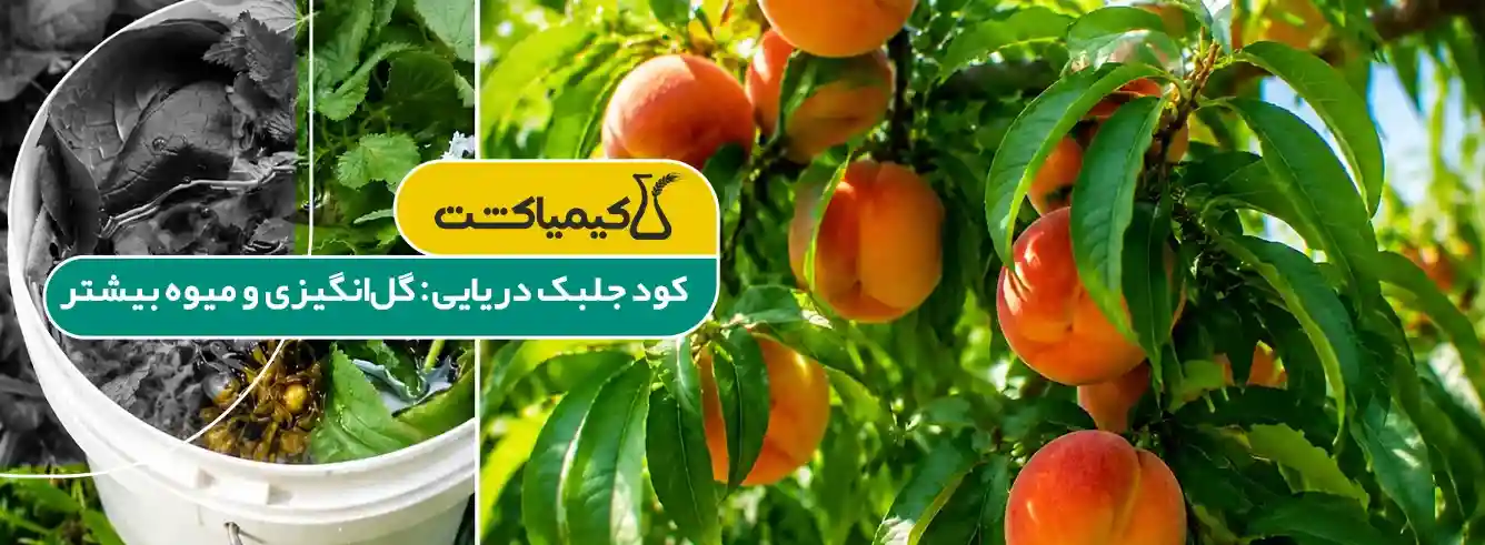 کود جلبک دریایی برای درختان - خواص کود جلبک دریایی برای درختان میوه