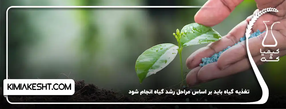 زمان بندی مناسب مصرف کود