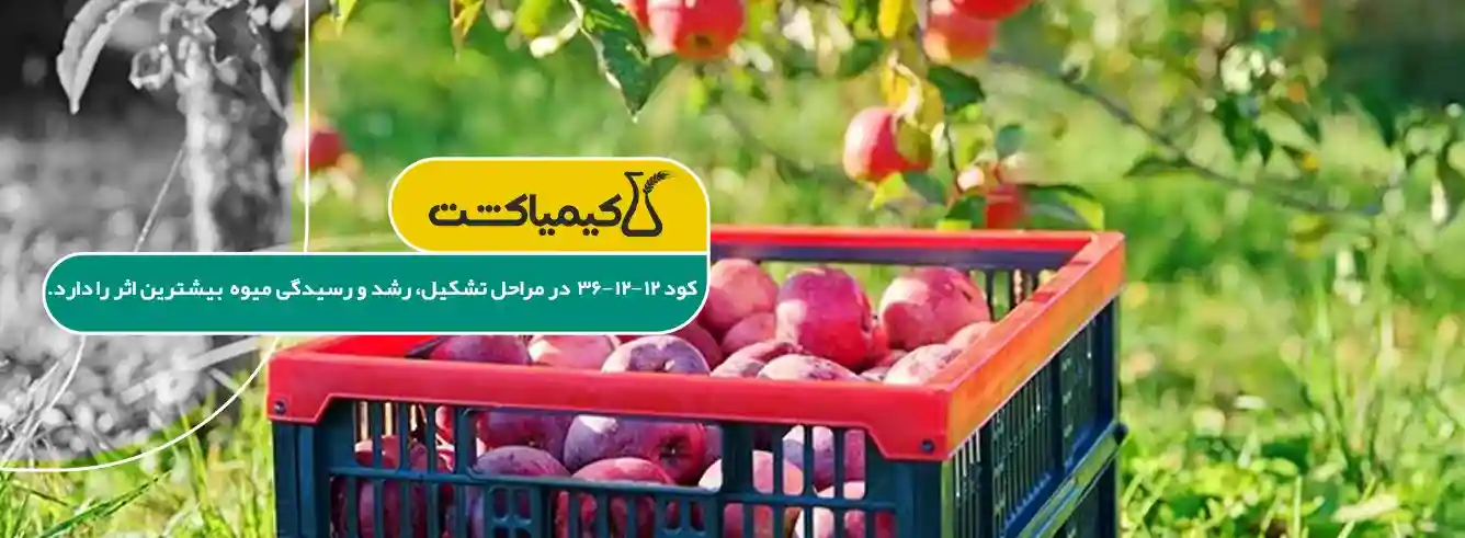 زمان مصرف کود 12 12 36