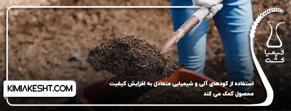 استفاده از کودهای آلی و شیمیایی