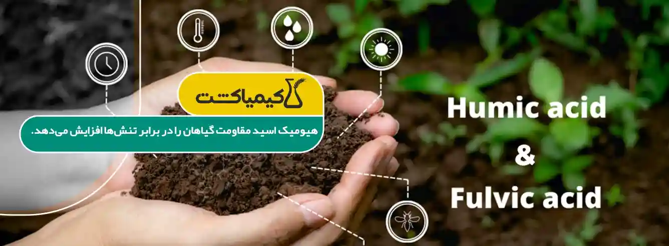 کود هیومیک اسید برای چه گیاهانی مناسب است؟ - تصویر توضیحات 1