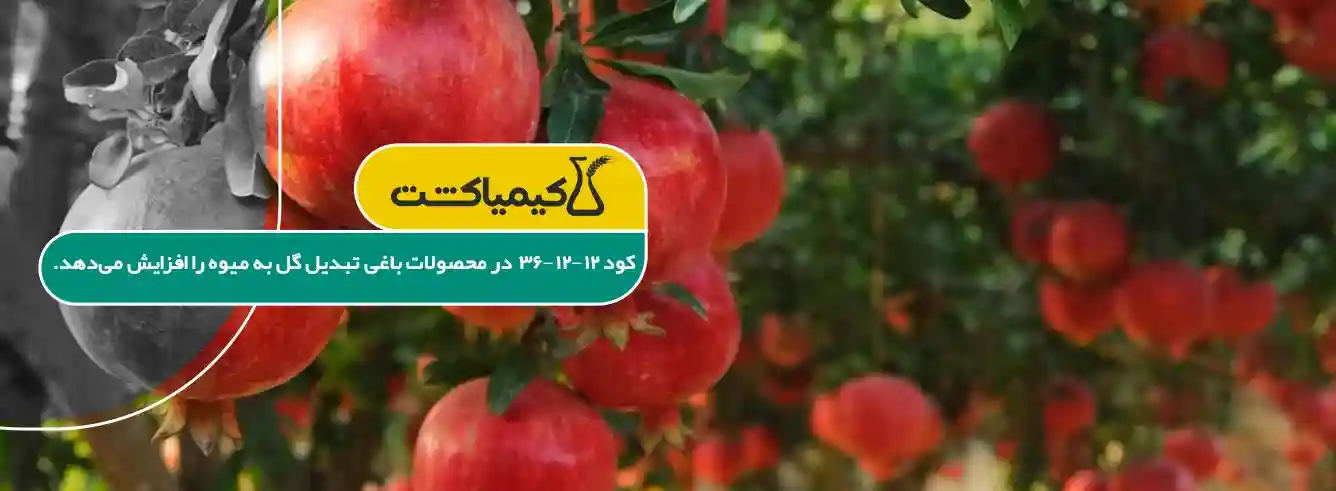 زمان مصرف کود 12 12 36 برای درختان میوه - تصویر توضیحات 1