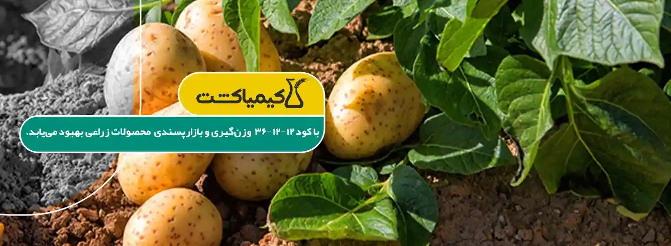 زمان مصرف کود 12 12 36 برای درختان میوه - مزایای استفاده از کود مایع 36-۱۲-12