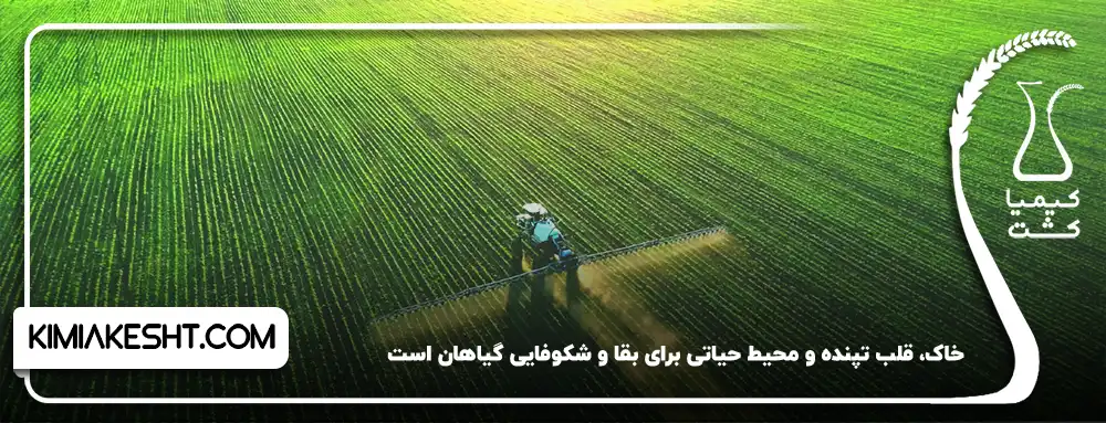 خاک، قلب تپنده شکوفایی گیاهان