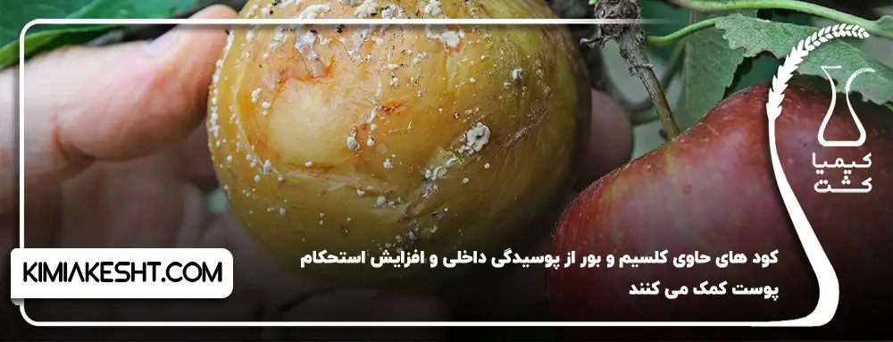 کودهای حاوی کلسیم و بور