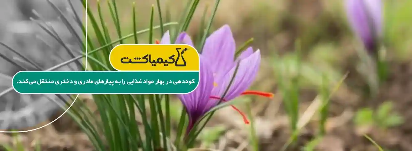 کود دهی در بهار