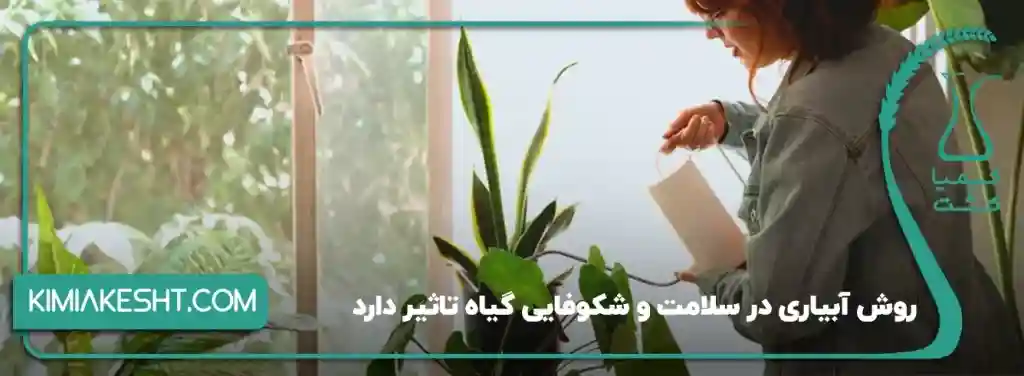 روش آبیاری