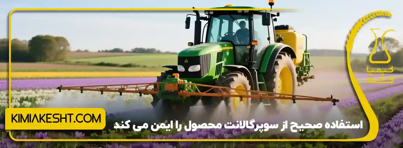 سم علف کش پهن برگ زعفران