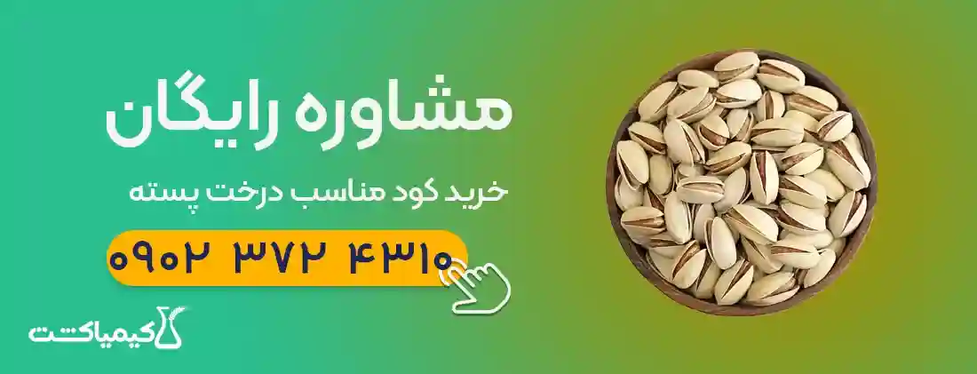 خرید و نحوه مصرف کود سولوپتاس برای پسته - روش‌ مصرف سولوپتاس برای پسته